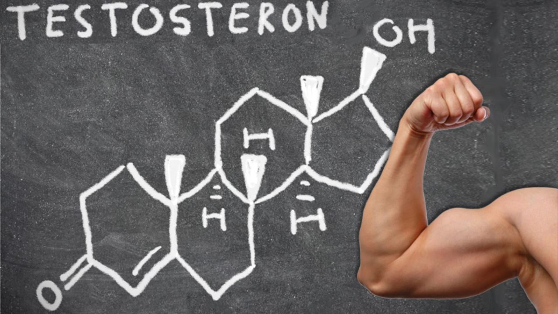 Что было раньше: тестостерон или агрессия?